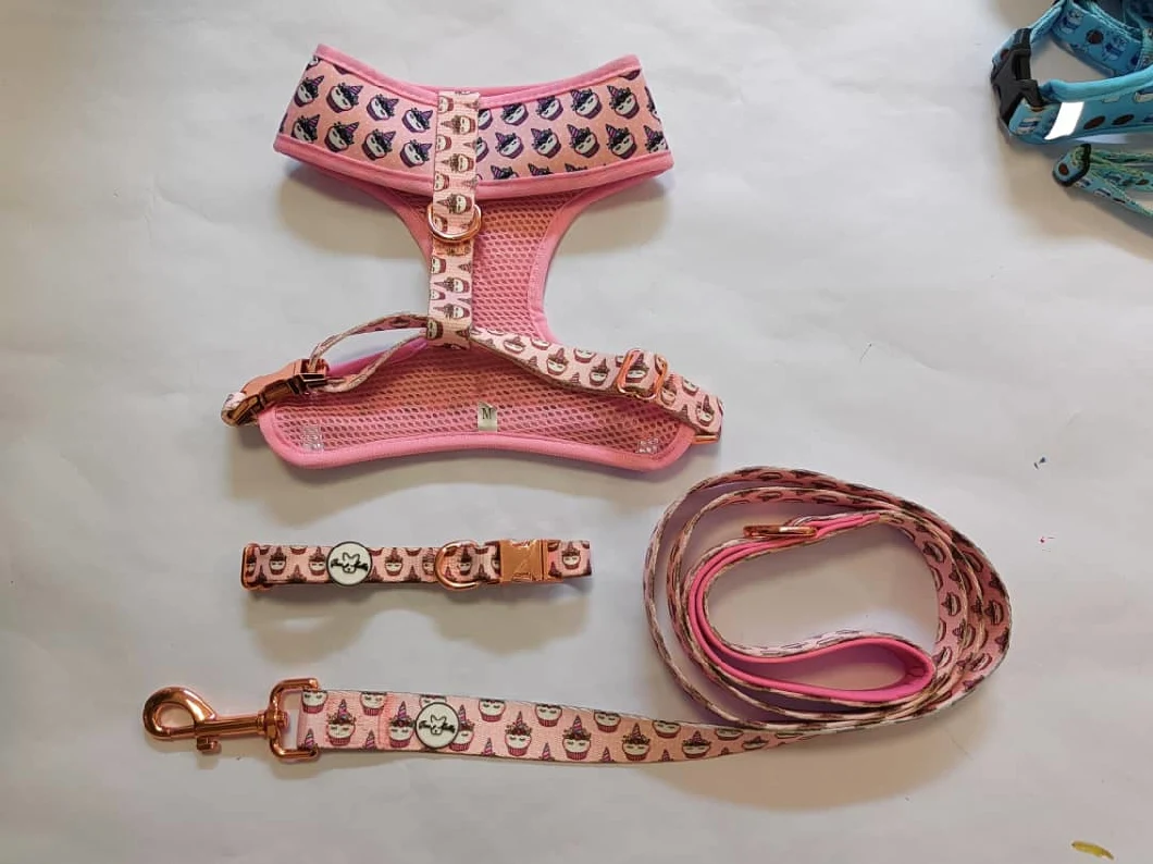 OEM Fashion Personalized Custom Luxury Dog Collars and Leashes Metal Buckles