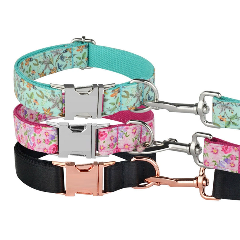 OEM Fashion Personalized Custom Luxury Dog Collars and Leashes Metal Buckles
