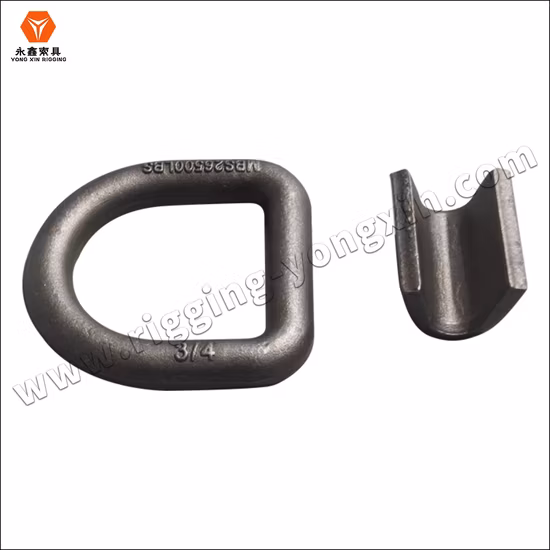 Steel Forged Lashing D Ring for Chain Link
