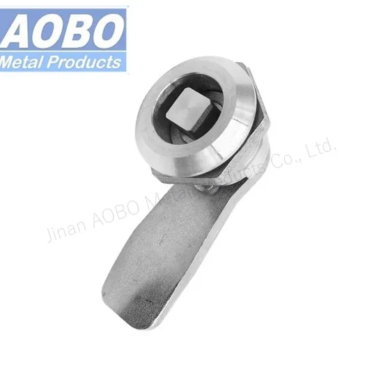 Heavy Duty Precision Casting Stainless Steel 316 Square 8mm Quarter Turn Cam Lock for Electric Enclosures and Train Door Panel 